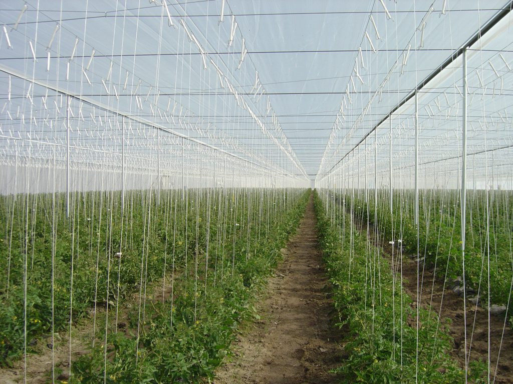 Insect Netting - Poly-ag