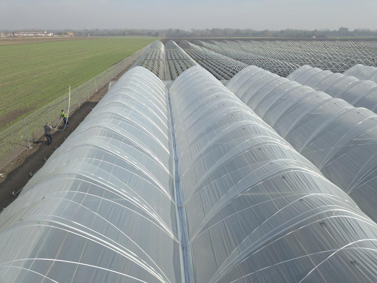 SunView™ Standard CLEAR Greenhouse Plastic Film 6 Mil UV 4 Year 90% Light  Trans. (E2118)