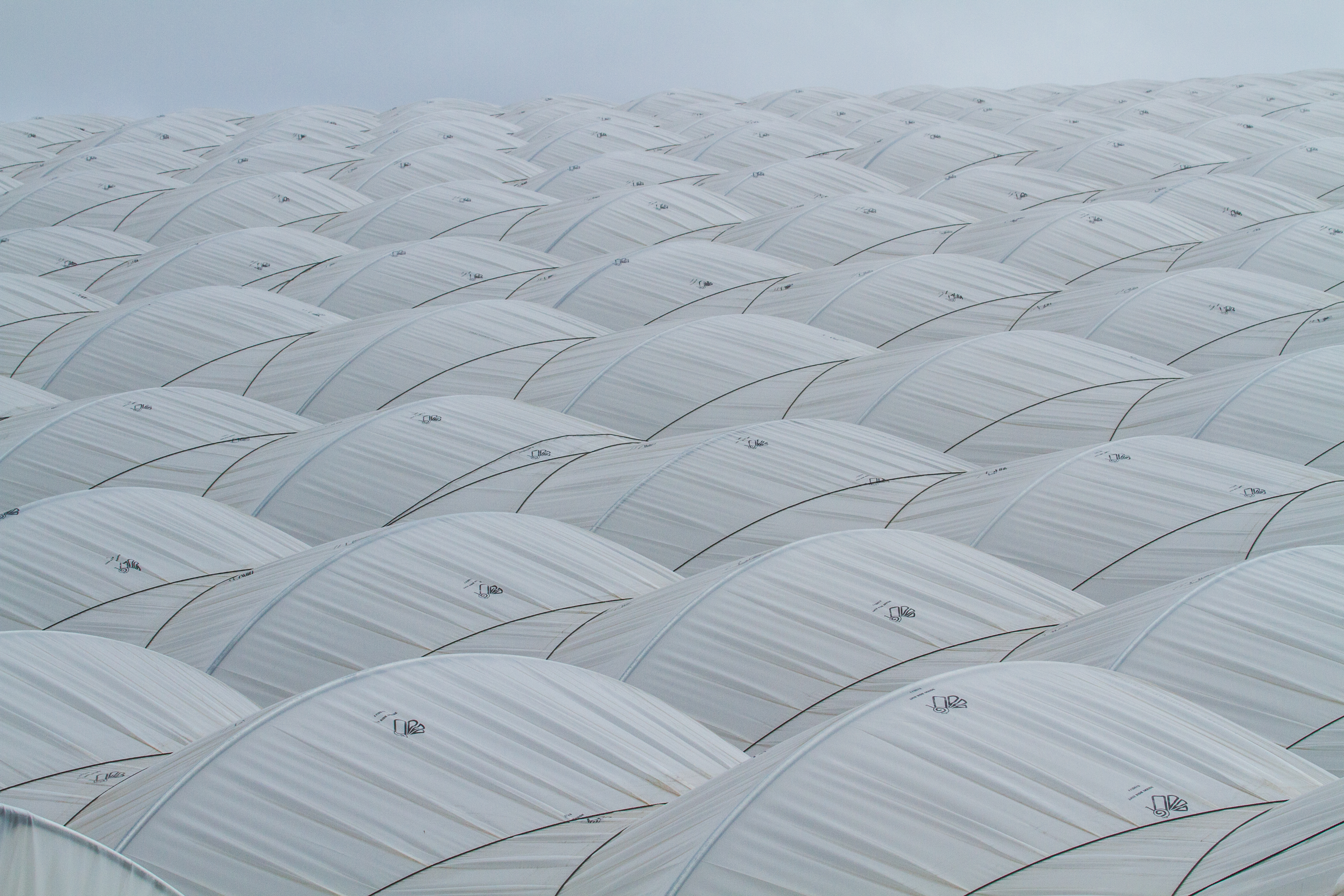 Greenhouse film - OPAC 86-E - OERLEMANS PLASTICS BV - UV-resistant