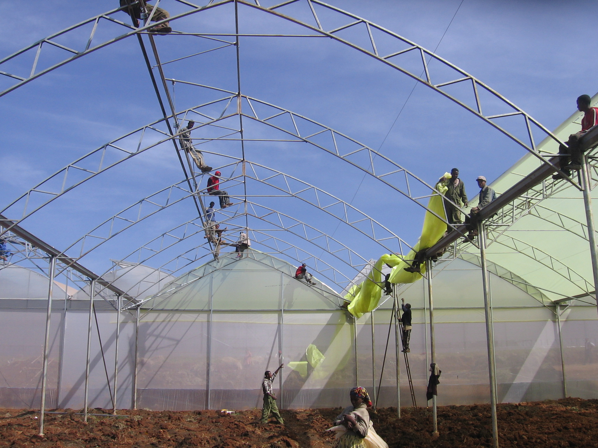 Greenhouse & Tunnel film - Poly-ag