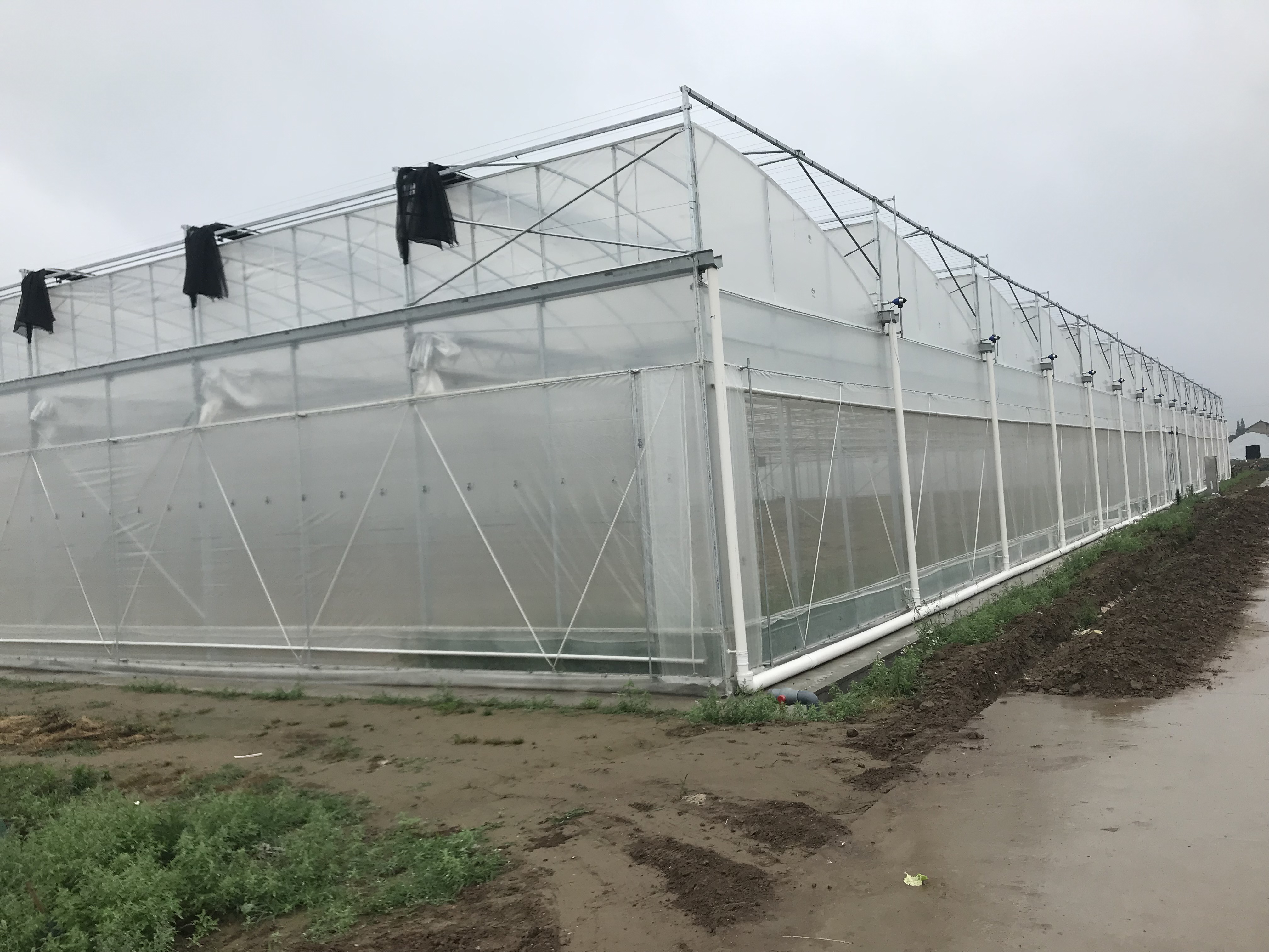 Greenhouse & Tunnel film - Poly-ag