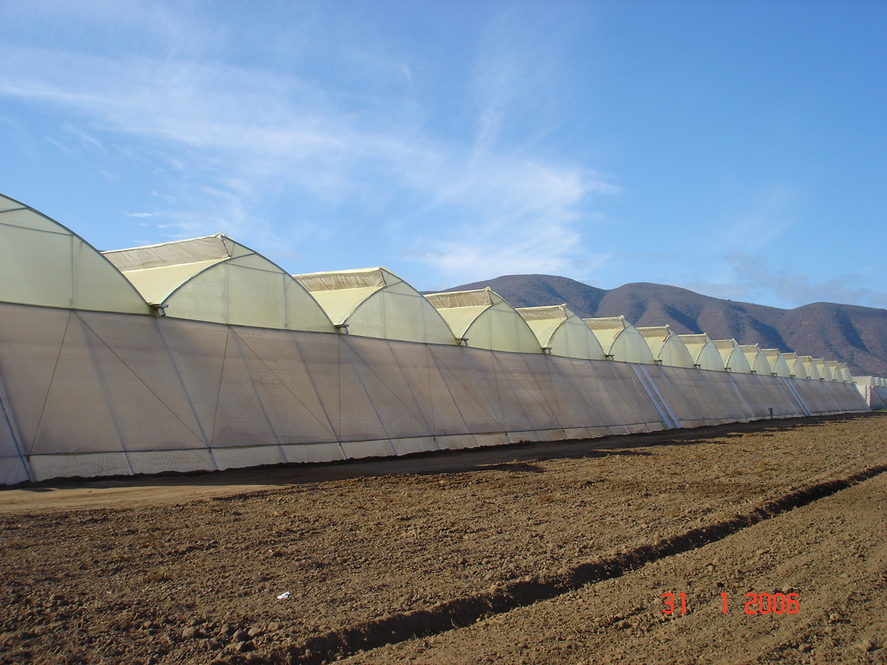 SunView™ Standard CLEAR Greenhouse Plastic Film 6 Mil UV 4 Year 90% Light  Trans. (E2118)